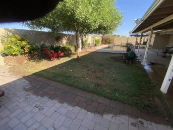 668515246 122306378102252470 4539248195450173505 n